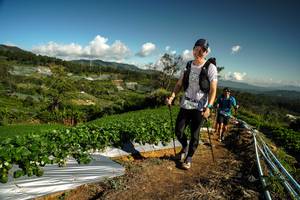 BIB: 
                            <button type="button" onclick="openModal(19124092)" class="btn btn-primary btn-sm float-right btn-popup" data-toggle="modal" data-target=".modal-high-quality">
                        <i class="fas fa-shopping-cart"></i> Add to Cart
                    </button>
                                            <button type="button" onclick="isThisMe(19124092, true)" class="btn btn-success btn-sm float-right btn-popup btn-isme hidden" data-toggle="tooltip" data-placement="bottom" title="นี่คือรูปของคุณใช่ไหม คลิกที่นี่เพื่อเอาเข้าอัลบั้ม">
                        <i class="fas fa-plus"></i> Add to album
                    </button>
                    <button type="button" onclick="isThisMe(19124092, false)" class="btn btn-warning btn-sm float-right btn-popup btn-isnotme hidden">
                        <i class="fas fa-ban"></i> Remove from album
                    </button>